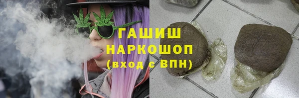 ешки Ельня