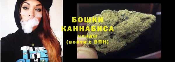 тгк Новозыбков