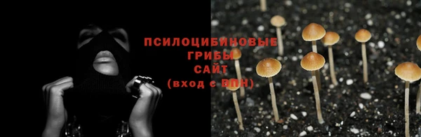 jwh Елабуга