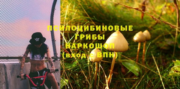герыч Новодвинск