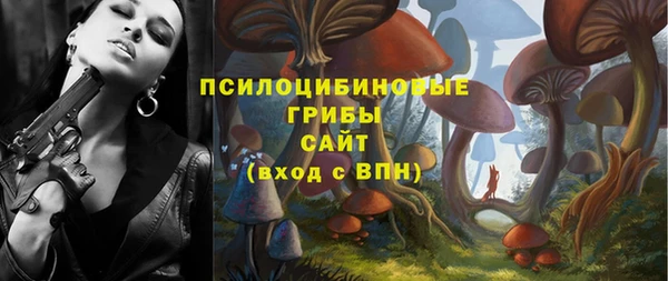 герыч Новодвинск